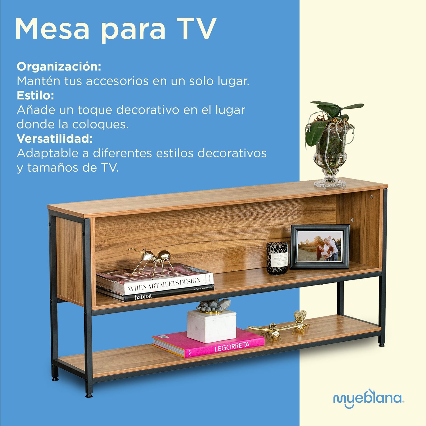 MESA TV CALIFORNIA